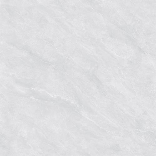 8L0685ZPL(2)