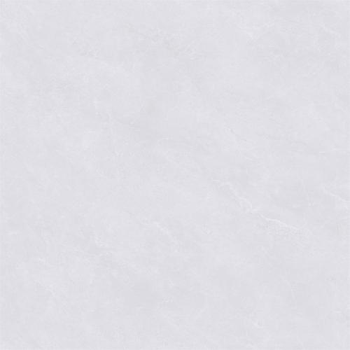 8L0683ZPL(2)
