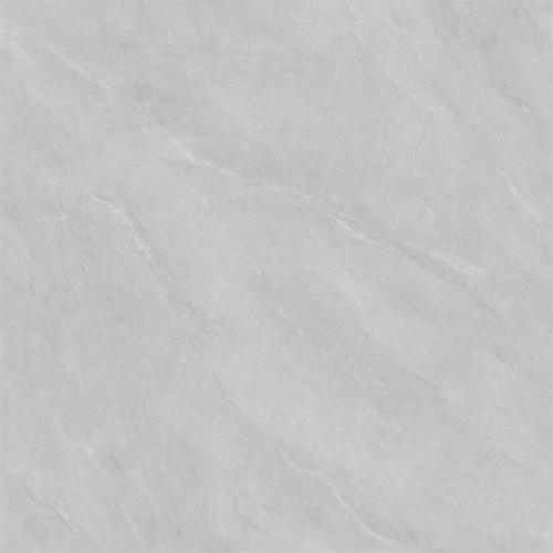 8L0681ZPL(4)