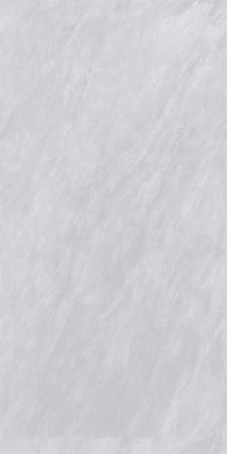 12L138APL_(5)