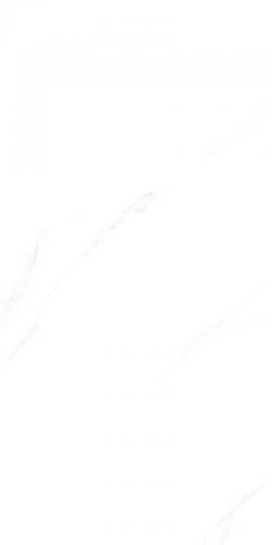 12L237-AP-01