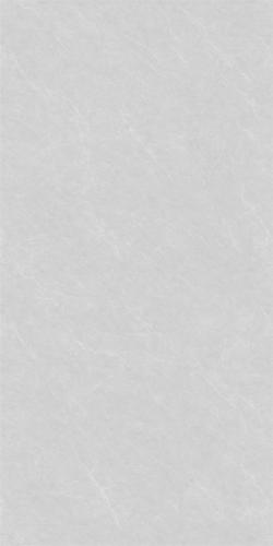 12L861AE-PL_(2)