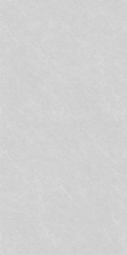 12L861AE-PL_(3)