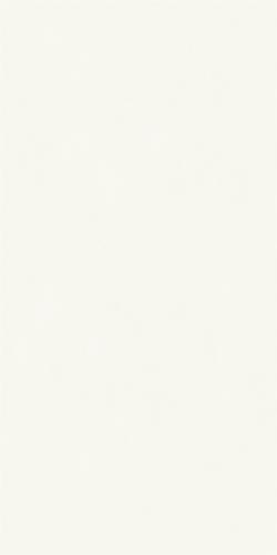 15L863AE-PL_(2)