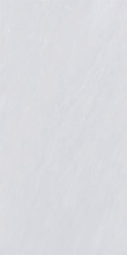 12L138APL_(2)